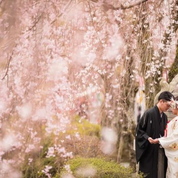 三嶋大社の結婚式【3月】