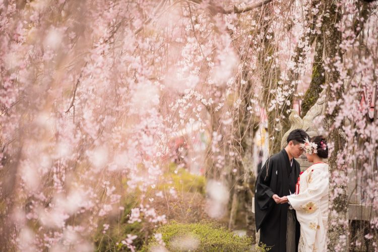 前撮りのオススメ～桜～