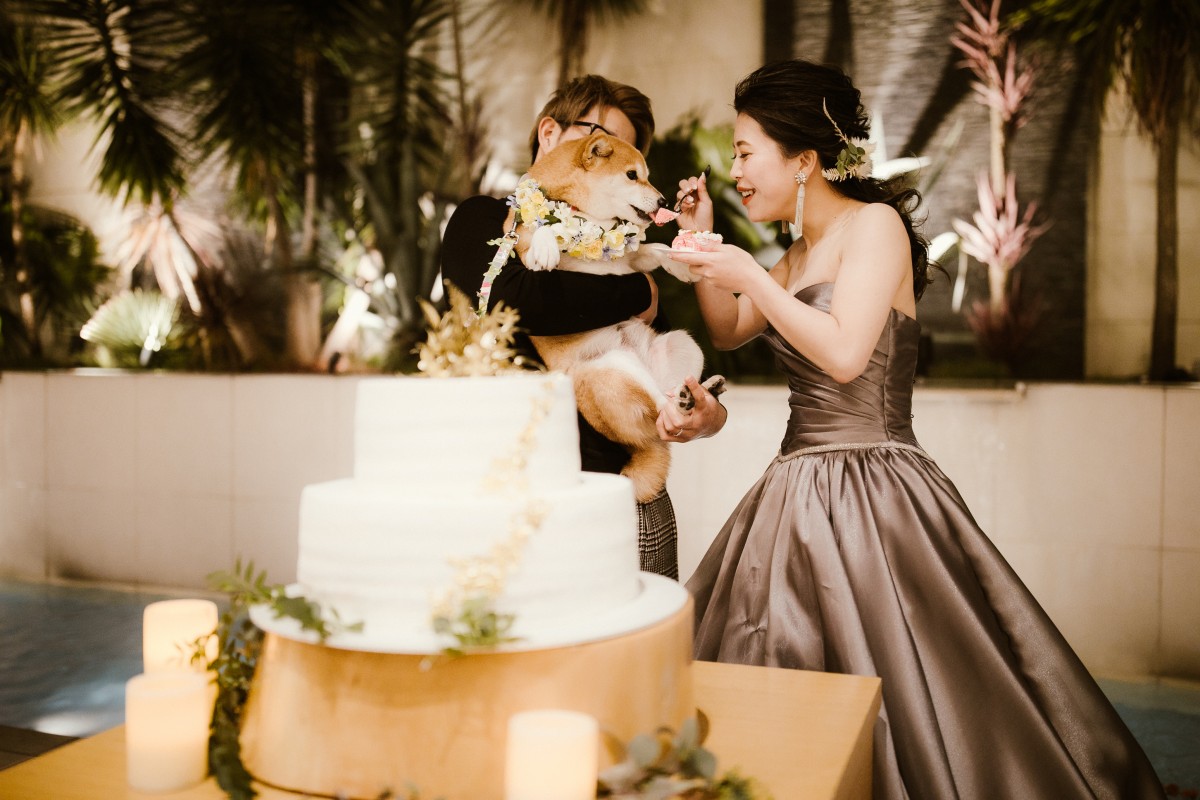 大切な家族であるペットと一緒に叶えるウエディング<br />
<br />
Luxscena　Wedding　WITH PET<br />
<br />
ふたりもゲストも<br />
そして愛犬もだれもが幸せと感じる時間を満喫して♪