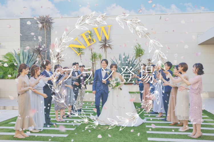 ✨NEW✨プラン登場しました
