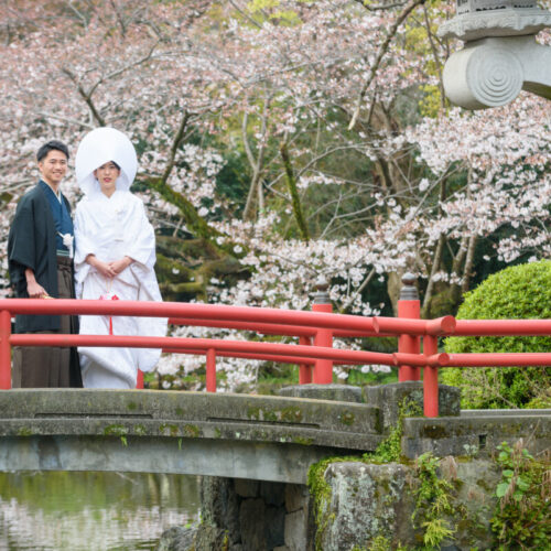 　三嶋大社＆披露宴Plan【リニューアル記念】　最大57万円ご優待＊26年1月～6月