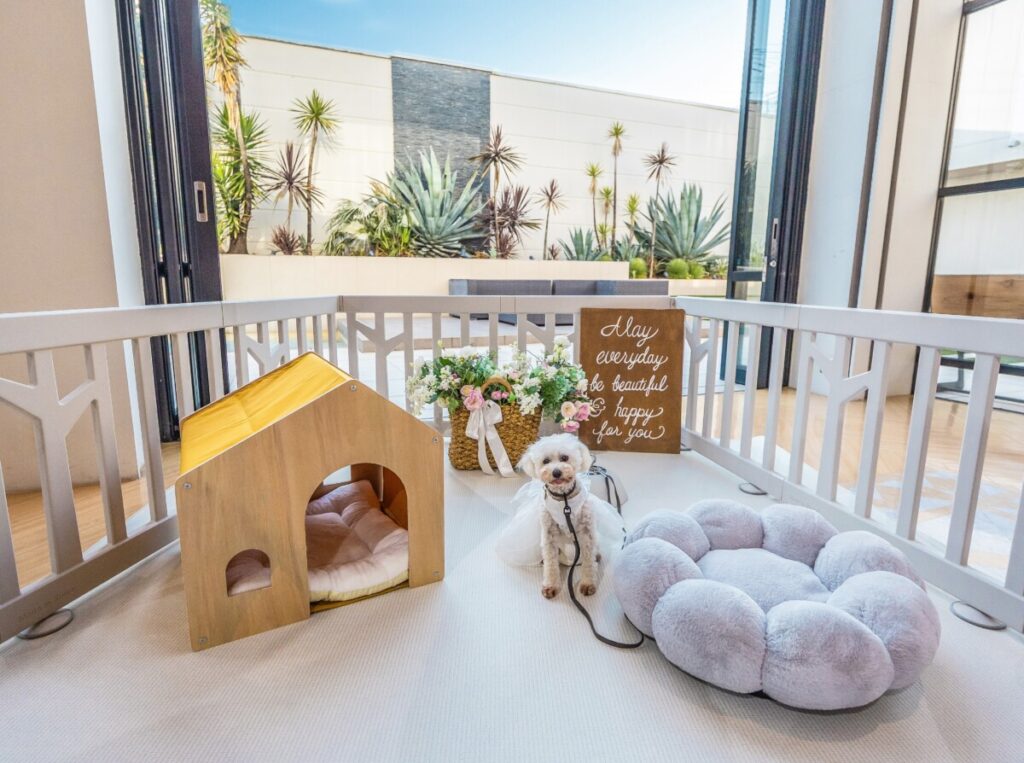 大切な家族であるペットと一緒に叶えるウエディング<br />
<br />
Luxscena Wedding WITH PET<br />
<br />
ふたりもゲストも<br />
そして愛犬もだれもが幸せと感じる時間を満喫して♪