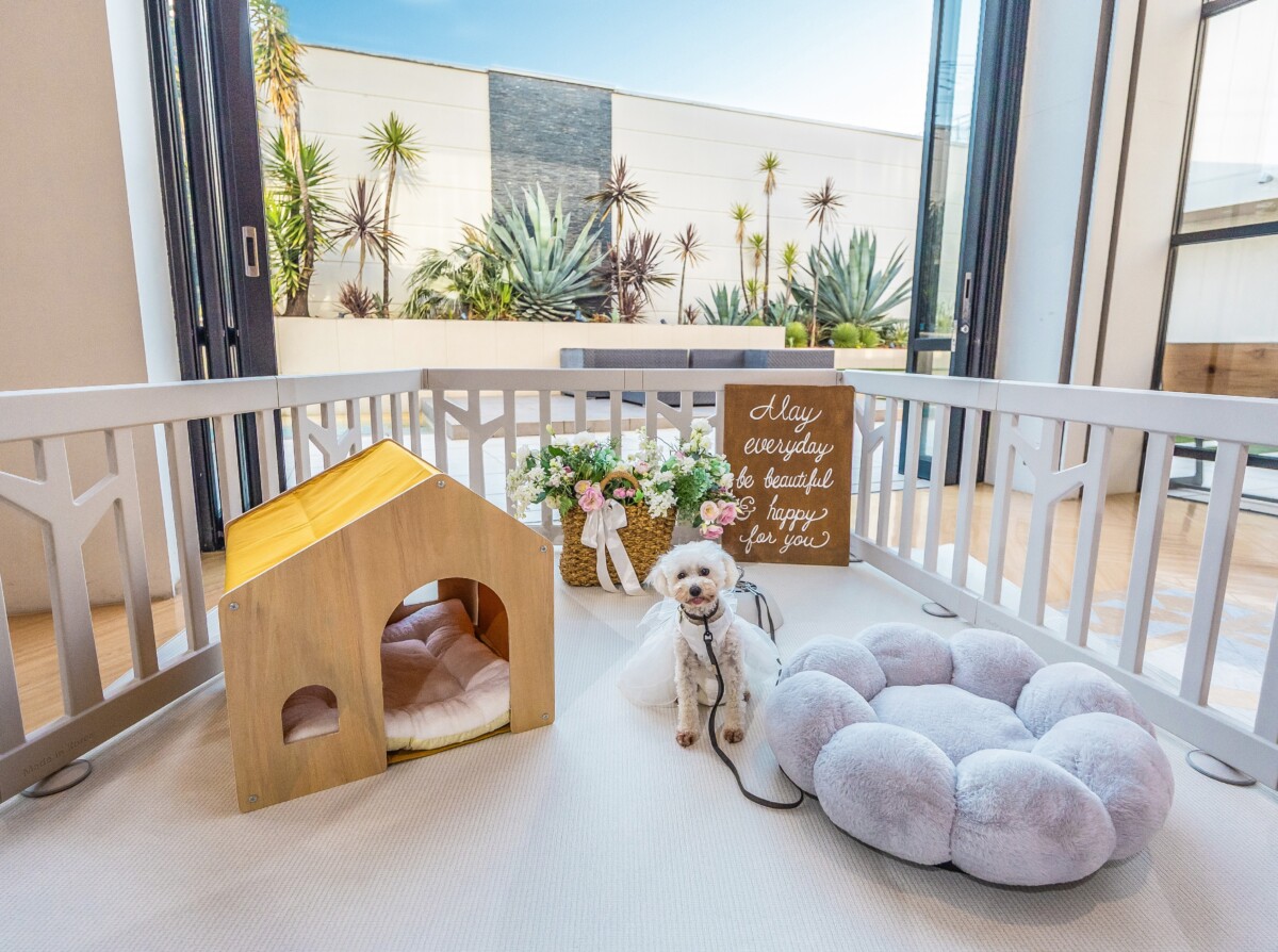 大切な家族であるペットと一緒に叶えるウエディング<br />
<br />
Luxscena　Wedding　WITH PET<br />
<br />
ふたりもゲストも<br />
そして愛犬もだれもが幸せと感じる時間を満喫して♪