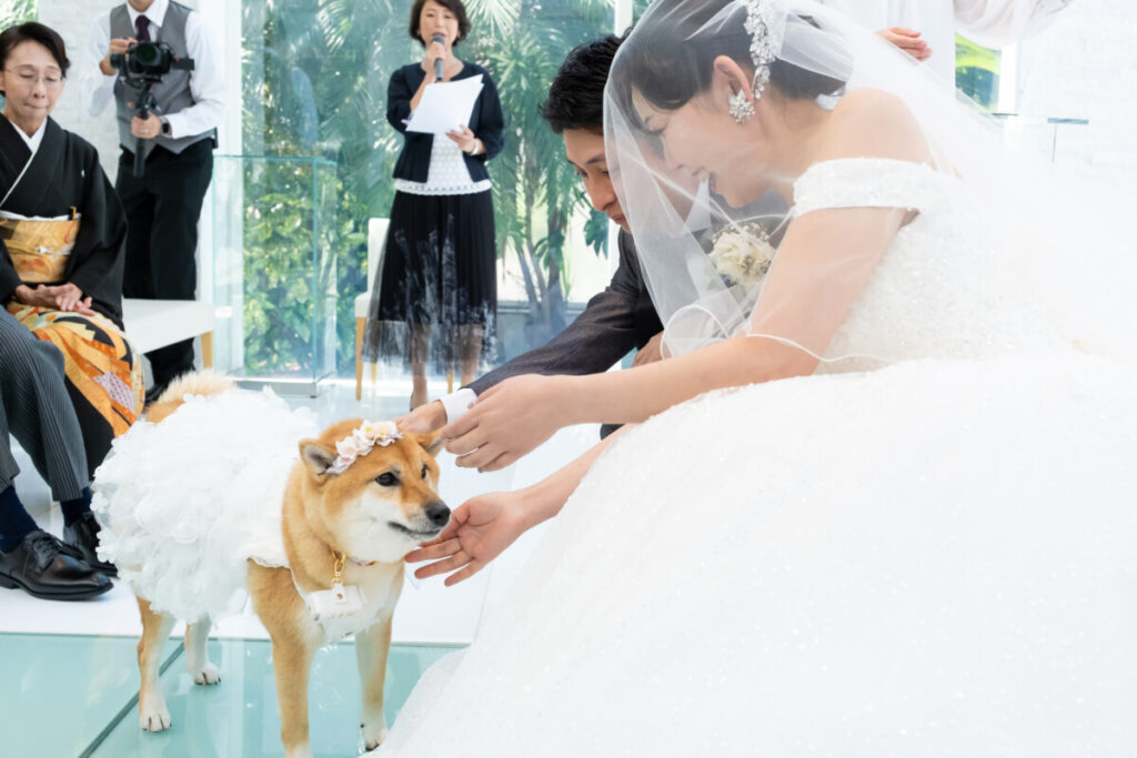 三島・沼津・富士エリアのラグシエナで行われるペットウェディング。新郎新婦が愛犬の柴犬と挙式シーンで寄り添う様子。静岡でペットと結婚式を挙げたい方に向けた写真。