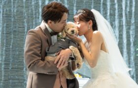 《大切な家族の一員ペットW》安心貸切◎×シェフ特選コース試食フェア【Amazonギフト1万円付】