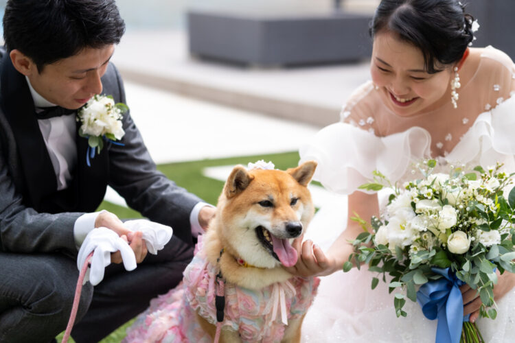 愛犬と一緒に最高の1日!