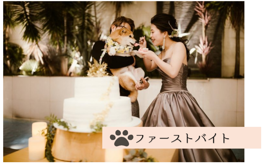 三島・沼津・富士の結婚式場ラグシエナでのペットウェディング。新郎新婦が愛犬にウェディングケーキを食べさせるファーストバイトのシーン。