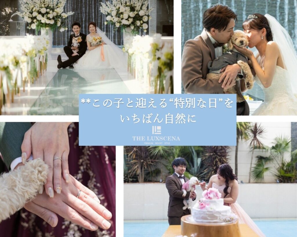 三島・沼津・富士エリアで叶えるラグシエナのペットウェディング。愛犬と新郎新婦が自然体で過ごす結婚式シーン