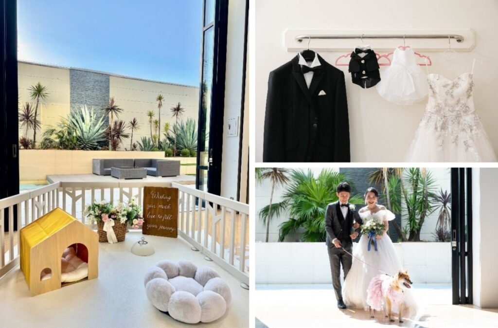 三島・沼津・富士エリアでのペットウェディングの様子。愛犬と一緒に結婚式を楽しむ新郎新婦と、貸切バンケットの雰囲気を伝えるコラージュ画像。