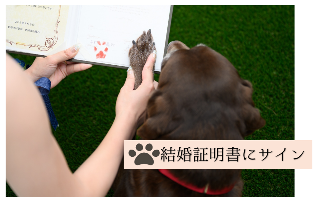 三島・沼津・富士の結婚式場ラグシエナでのペットウェディング。愛犬が肉球スタンプで結婚証明書にサインする感動の瞬間。