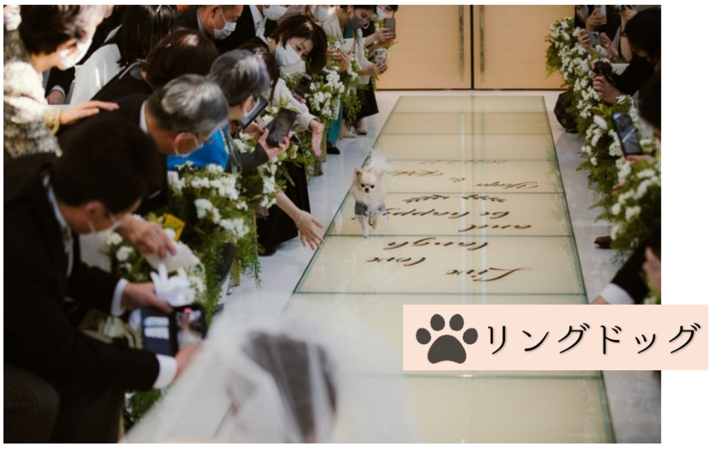 三島・沼津・富士の結婚式場ラグシエナで行われたペットウェディング。白い花に囲まれたバージンロードを歩くリングドッグの愛犬。