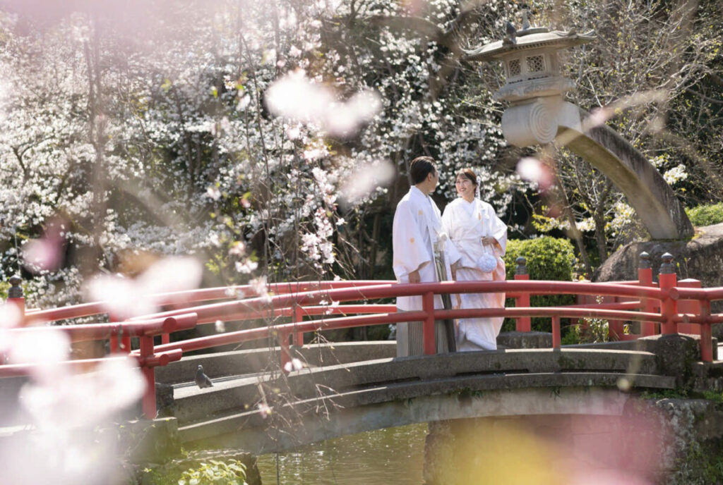 三嶋大社近くの赤い橋で前撮りをする新郎新婦。満開の桜に囲まれた春の和装フォト。