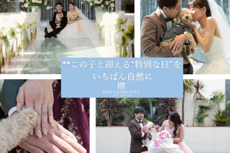 ペットと叶える特別な結婚式フェア｜【公式】ラグシエナ・結婚式場｜三島・沼津・富士エリアの結婚式