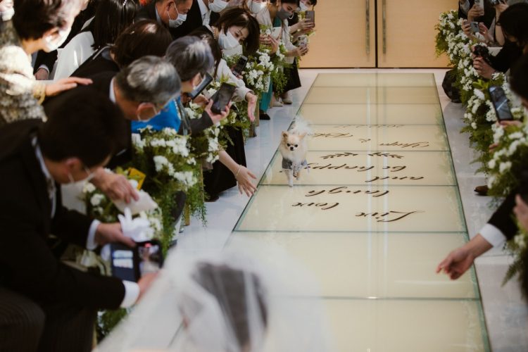 ペットと一緒に退場する新郎新婦
