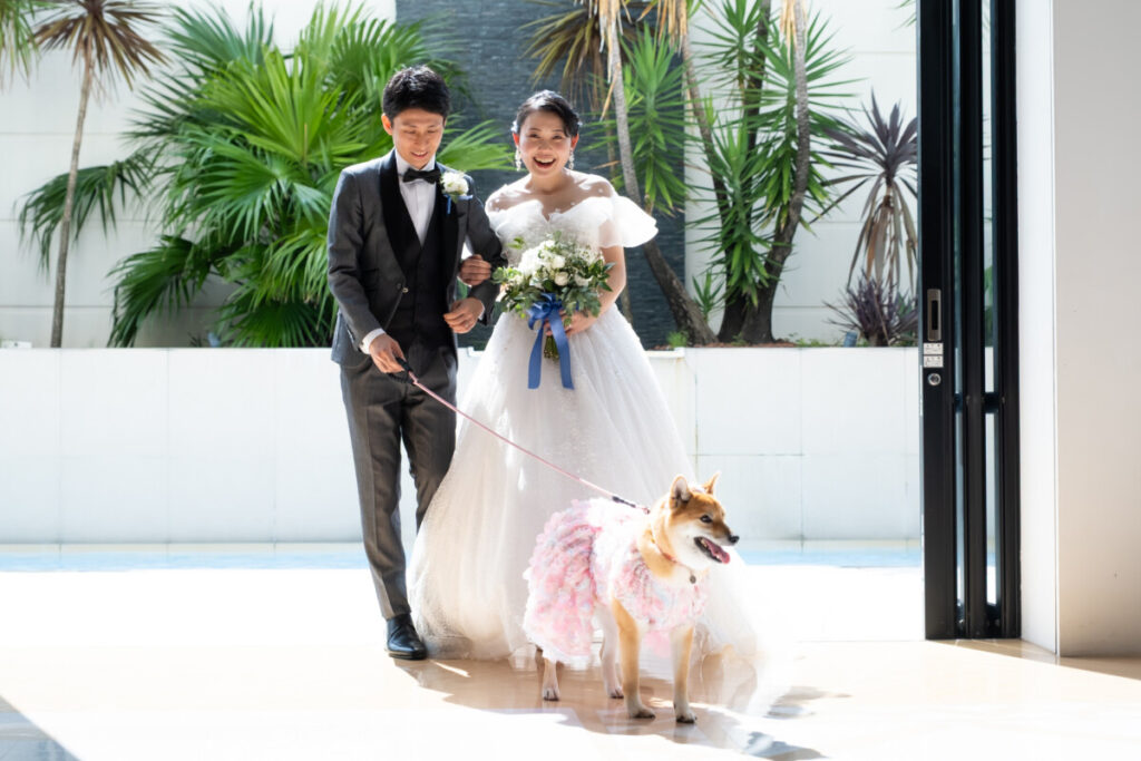 新郎新婦と愛犬が一緒に歩くペット婚のワンシーン。明るい会場での自然なひととき。