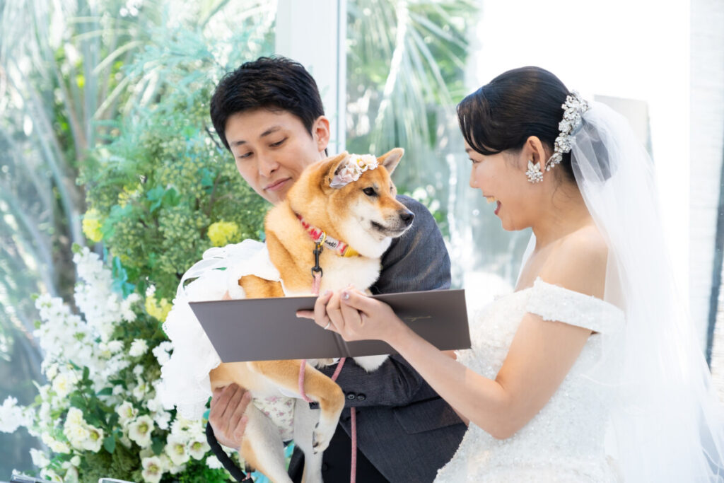 三島・沼津・富士エリアで愛犬と参加できるペットウェディング。ラグシエナの結婚式で新郎新婦と愛犬がリングドッグとして登場するシーン。静岡でペットOKの結婚式場を探す方に向けた写真。
